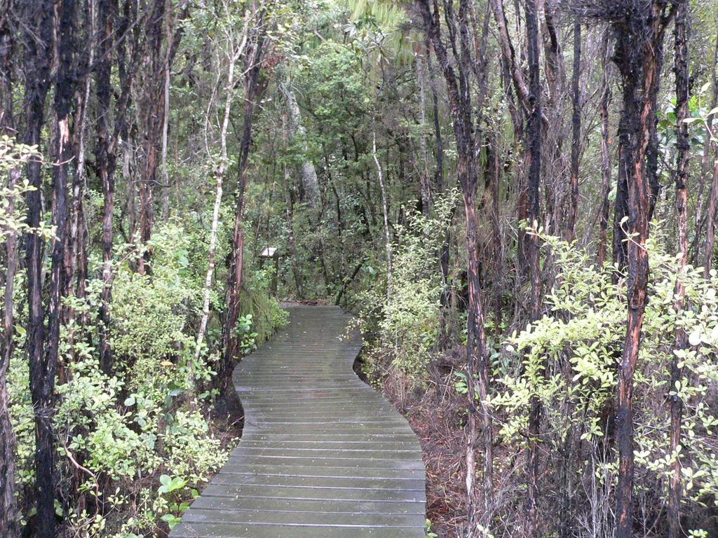 Вилла Kepplestone By The Sea - The Catlins New Haven Экстерьер фото